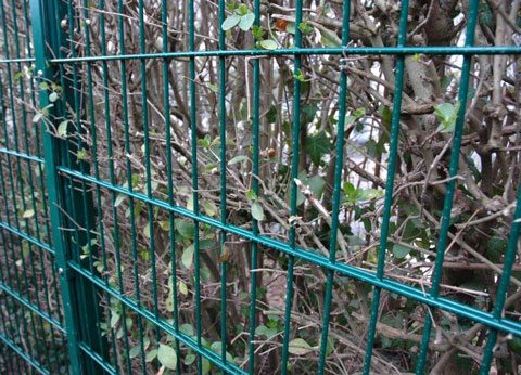 Cost-Efficient Security: SecuroMesh Fencing Solutions