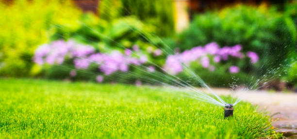 Lake Forest CA’s Professional Sprinkler Repair Team: Passionate about Perfection!