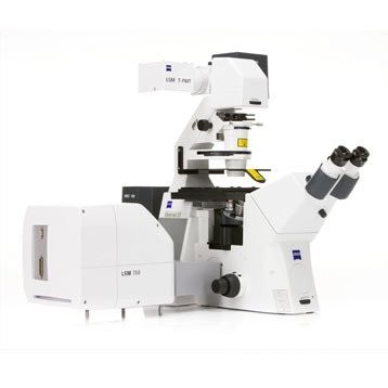 กล้องจุลทรรศน์ Zeiss เยอรมัน Axio Observer 3 Axioscope 5 Axioscope