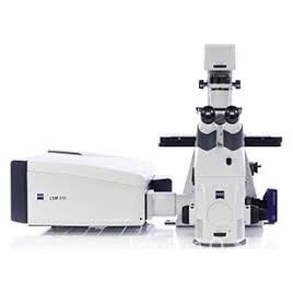 Zeiss Zeiss เยอรมันกล้องจุลทรรศน์ apotome 3 axio Observer 7