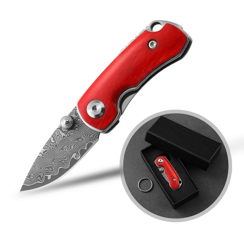 Small Folding Knife Vg10 Damascus Steel Mini Pocket Knife Beef Bone Handle EDC Key Knife With Gift Box For Men Women