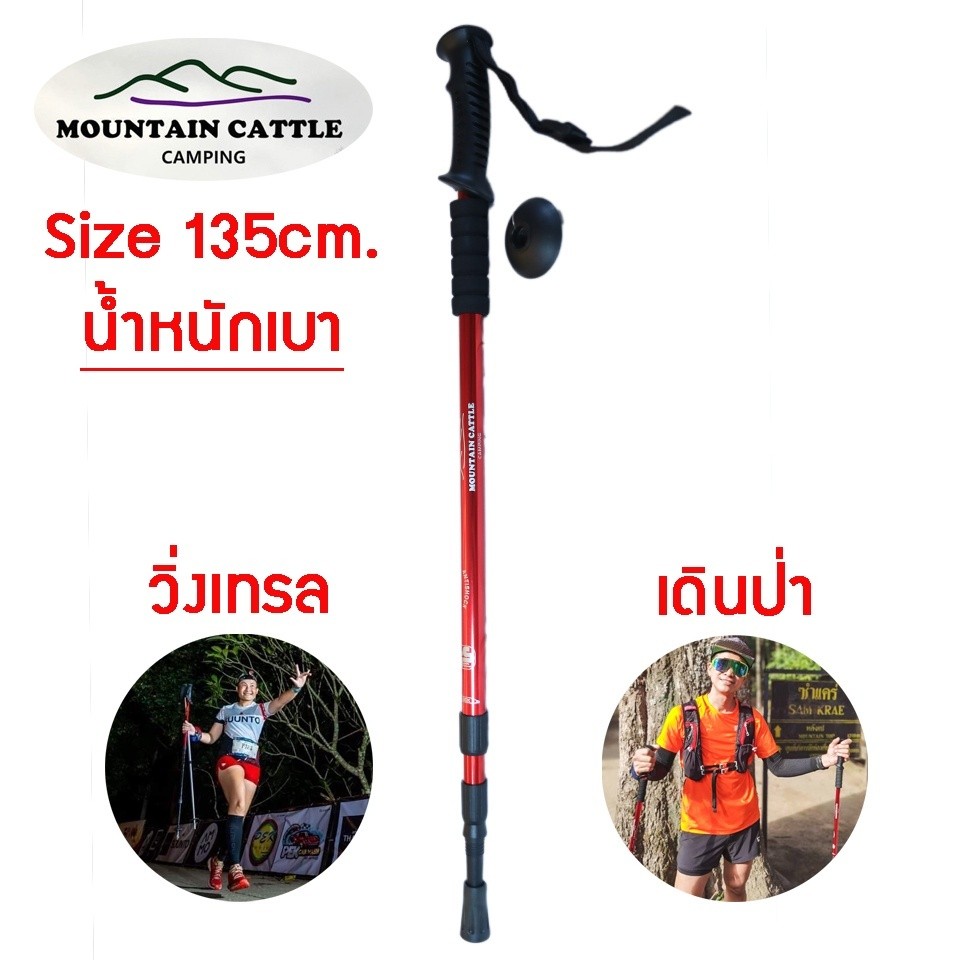 ไม้เท้าเดินป่าปรับระดับได้ ขนาด 135 cm แบรนด์ MOUNTAIN CATTLE มีให้เลือก 4สี หากไม่พอใจสินค้ายินดีคืนเงินทุกกรณี