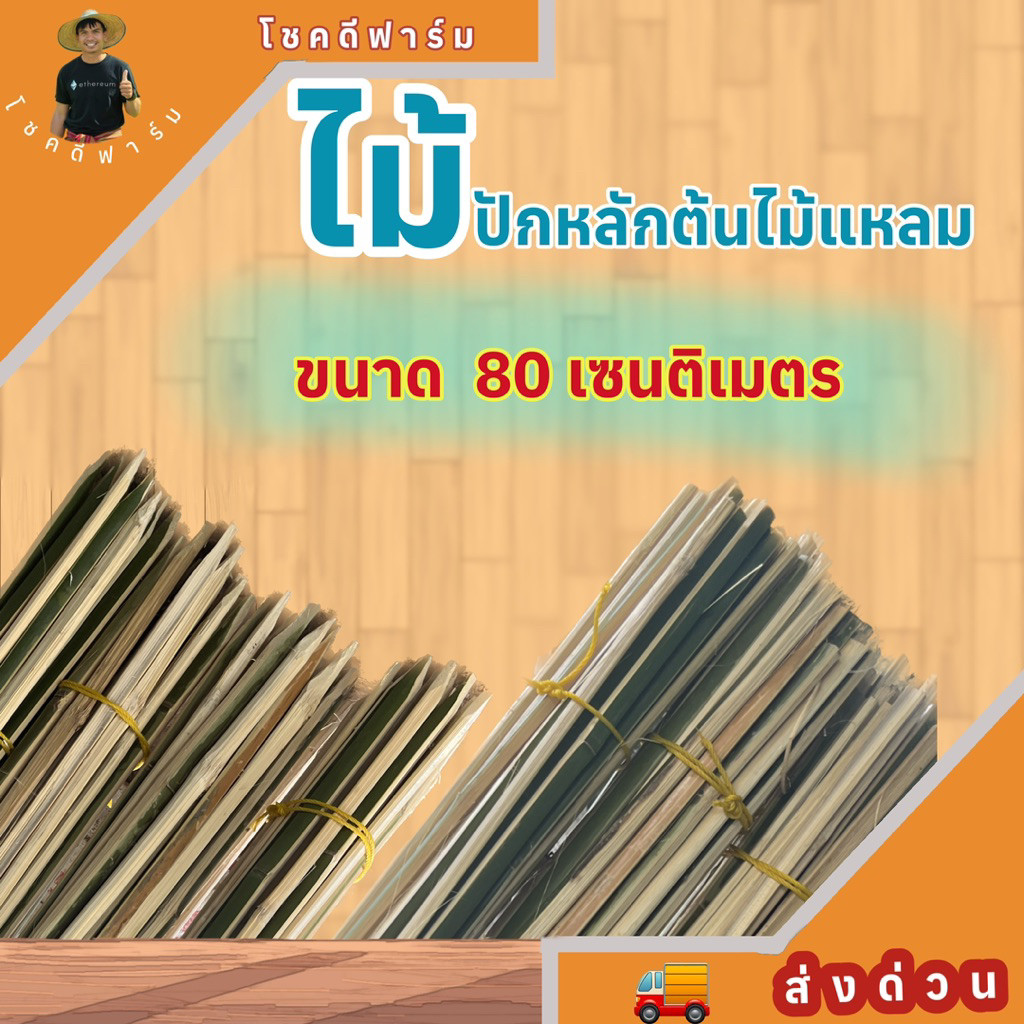 ไม้หลักปักค้ำต้นไม้หรือไม้หลักบ่วงดักหนู 80 เซนติเมตร เหลาลบคม ปลายแหลม หนา แข็งแรง