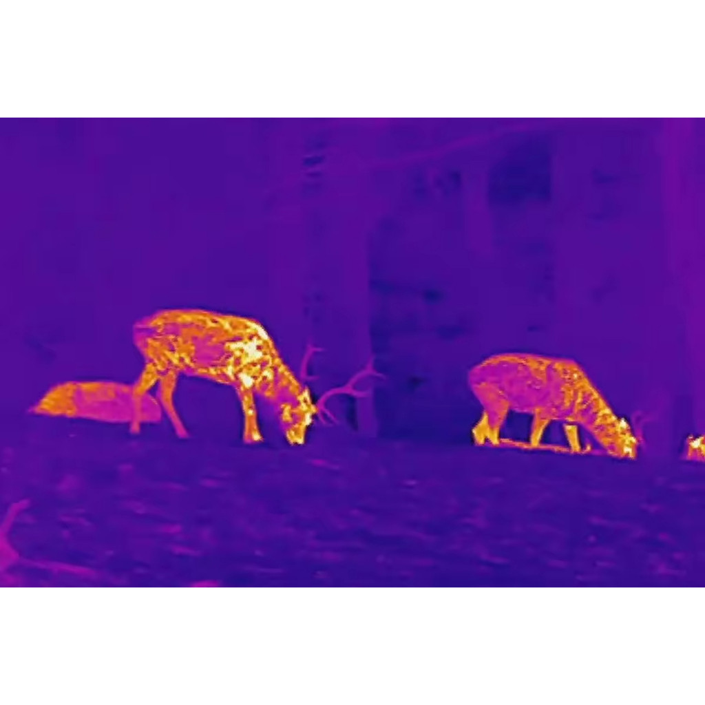 เครื่องฉายภาพความร้อนอินฟราเรดแบบพกพา กับกล้องโทรทรรศน์อินฟราเรด เพื่ออุปกรณ์ตรวจจับและบำรุงรักษางานระยะไกล