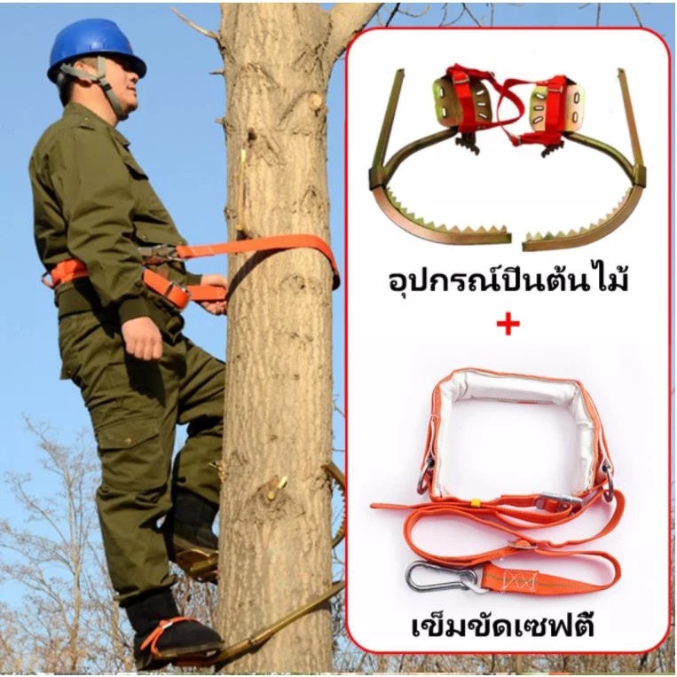 อุปกรณ์ปีนต้นไม้ รองเท้าปีนต้นไม้เครื่องมือปีนต้นไม้เครื่องมือปีนเสา เข็มขัด นิรภัย ปีนเสาช่วงที่ปรับได้ 200400mm